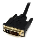 Icecat Gallery 2