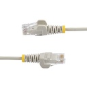 Icecat Gallery 2