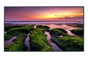 QB75B 75P 3840X2160  350CD/M2