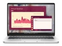 DELL PRO 14 PC14250