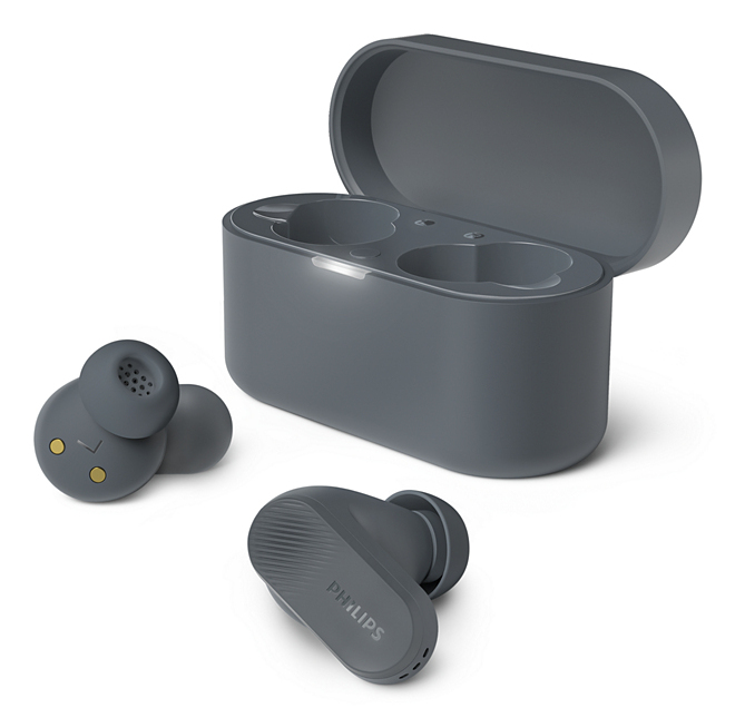 AURICOLARI TRUE WIRELESS+ANC(GREY)