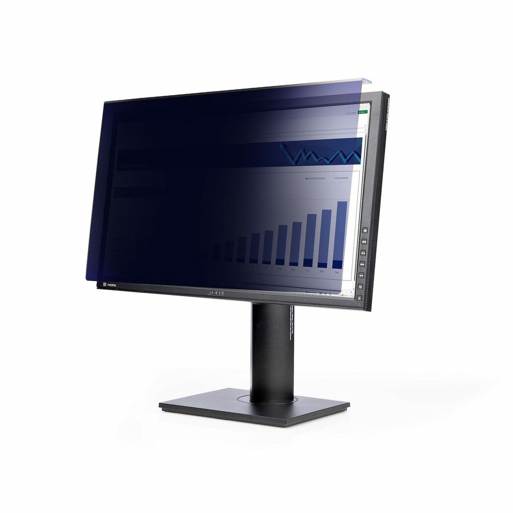 FILTRO PRIVACY MONITOR 23.8"