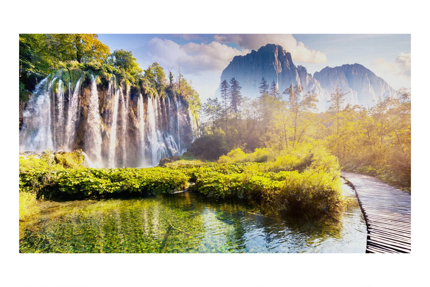 IEA SERIES 2.0 P/N TVTA014511