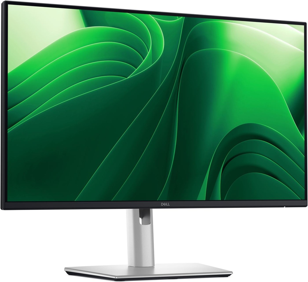DELL PRO 24 PLUS P2425D