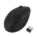 MOUSE WIRELESS PRO FIT ERGO MANCINI