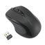 PROFIT WIRELESS MIDSIZE MY310S EQ