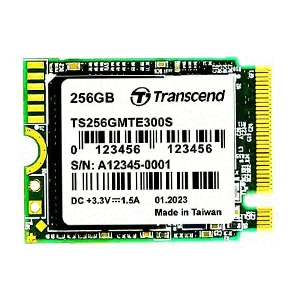 256GB M2 2242 PCIEGEN3X4 NVME 3DTLC