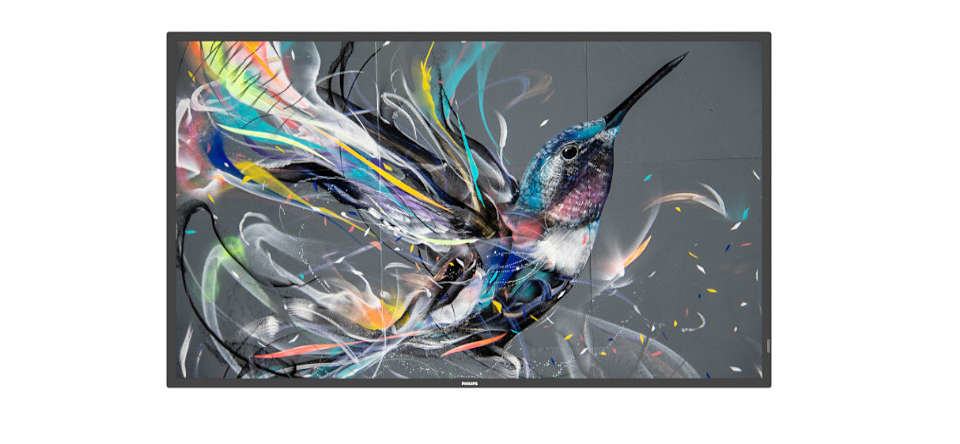MONITOR 50 Q-LINE 18/7 4K