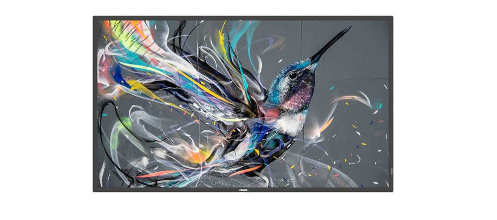 MONITOR 55 Q-LINE 18/7 4K
