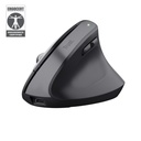 BAYO+ ERGONOMIC WIRELESS MOUSE