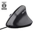 BAYO II ERGONOMIC MOUSE