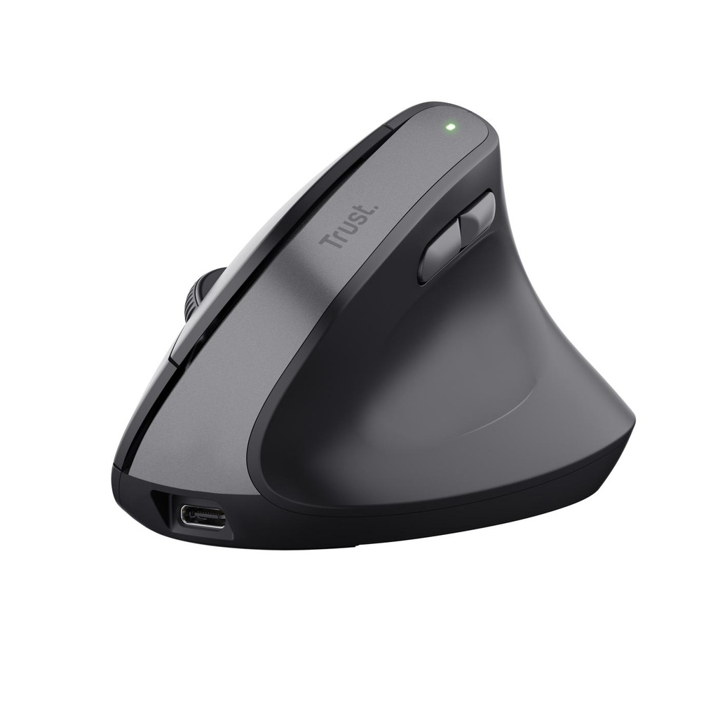 TM-270 ERGONOMIC WIRELESS MOUSE