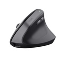 TM-270 ERGONOMIC WIRELESS MOUSE