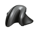 VERRO ERGONOMIC MOUSE WIRELESS