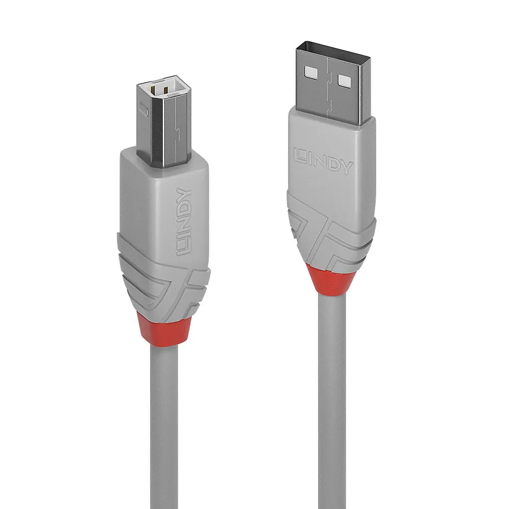 CAVO USB 2.0 GRIGIO 2M