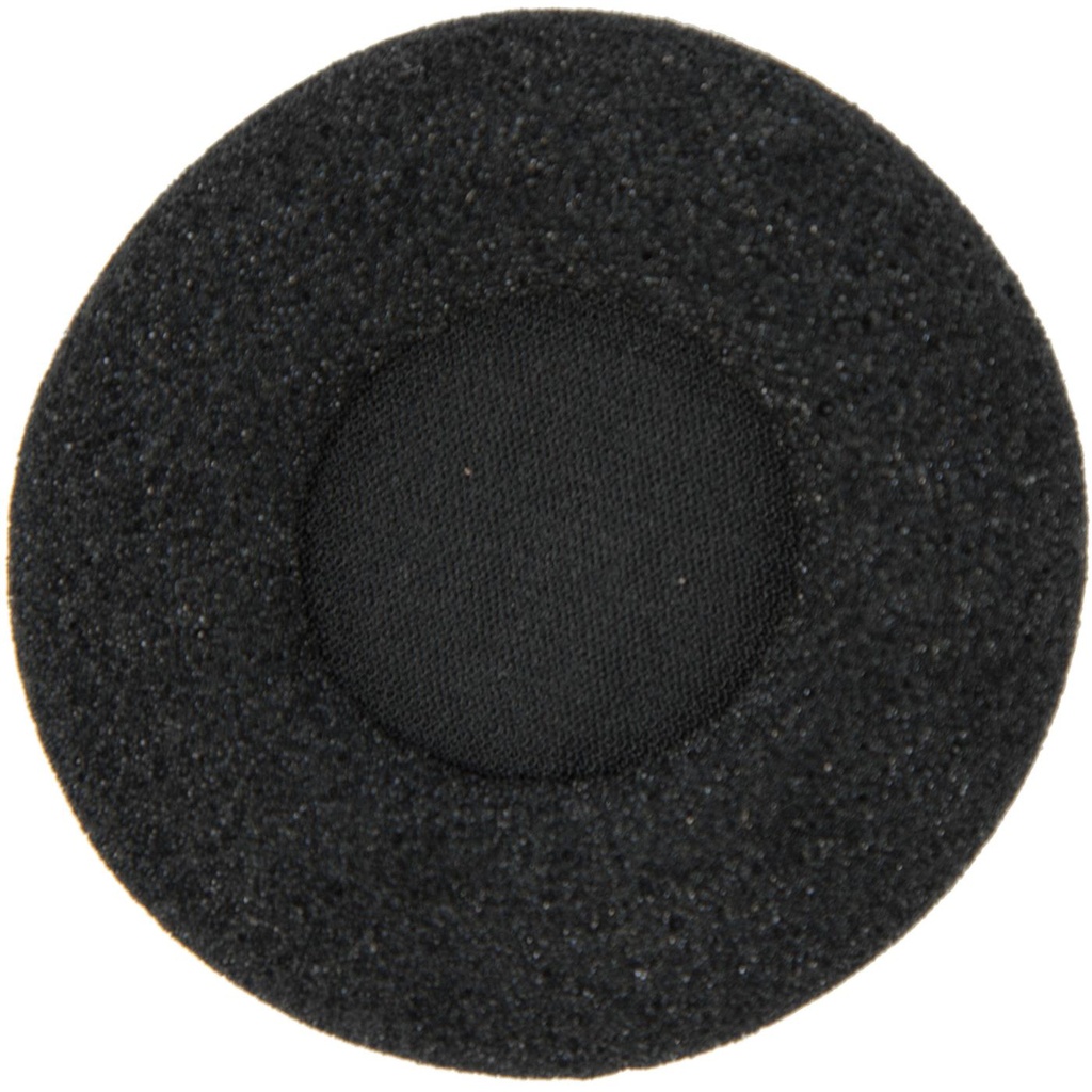 COPRIAURIC SPUGNA BIZ2300 10PZ