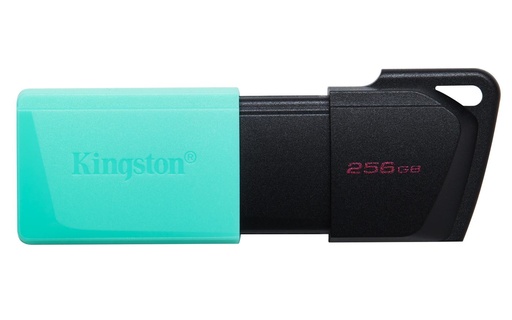 [DTXM/256GB] 256GB USB3.2 DATATRAVELER EXODIA M