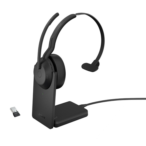 [25599-889-989] EVOLVE2 55 MONO UC LINK380A+STAND