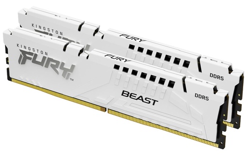 [KF560C30BWEK232] 32G 6000 DDR5 K2 F BEAST WHITE EXPO
