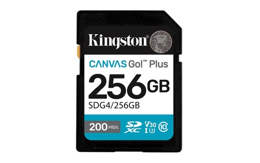 [SDG4/256GB] 256GB SDXC CANVAS GO PLUS GEN4