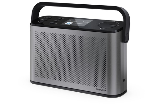 [DR-P540GY] RADIO DIGITALE OSAKA STEREO