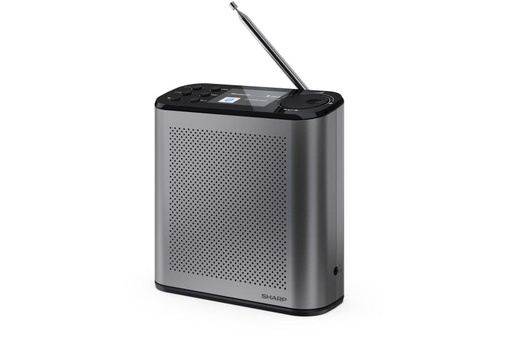 [DR-P530GY] RADIO DIGITALE OSAKA