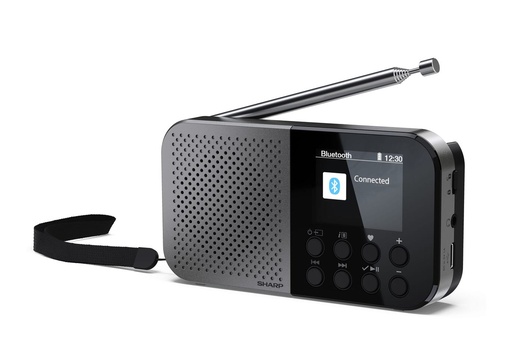 [DR-P520GY] RADIO DIGITALE OSAKA PORTATILE