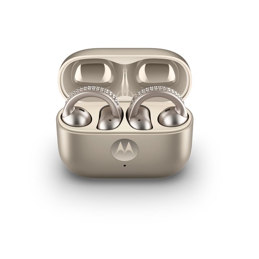 [PG38C07172] MOTO BUDS LOOP SWAROVSKI