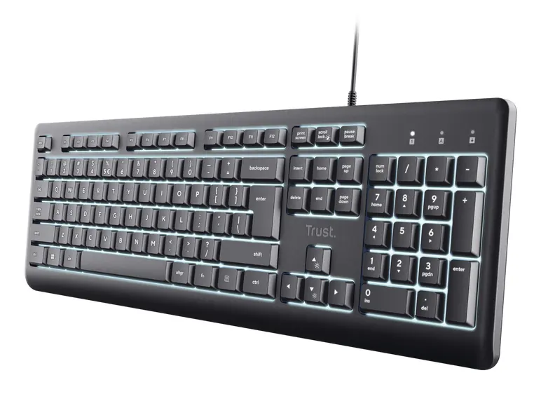[25820] PRIMO ILLUMINATED KEYBOARD IT
