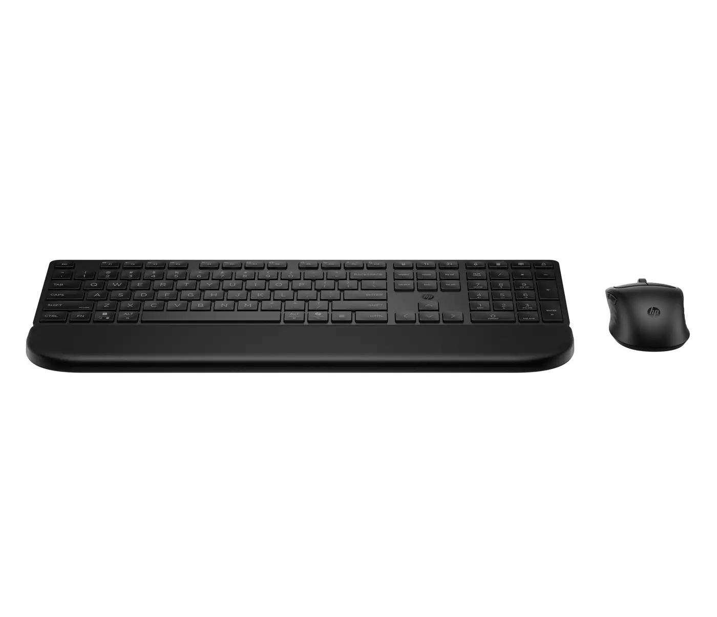 [BD5F3AA] KIT MOUSE TASTIERA HP 495C PALMREST