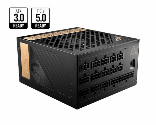 [MEG-AI1300P-PCE] MEG AI1300P PCIE5