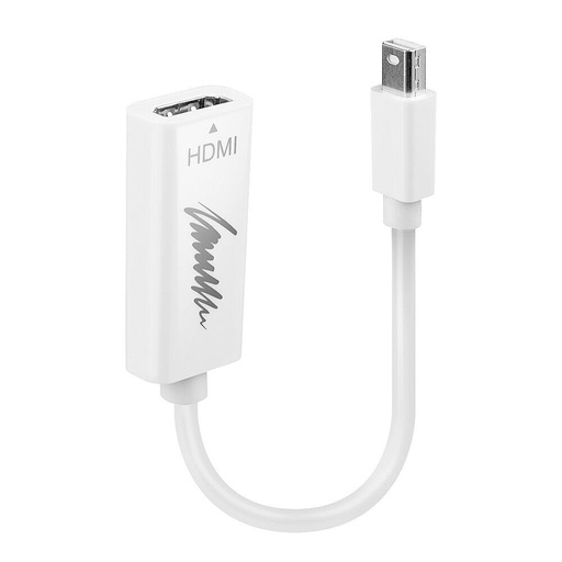 [41719] ADATTATORE MINI-DISPLAYPORT