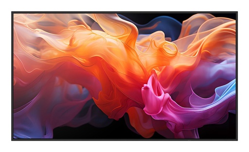 [60006186] MULTISYNC E869